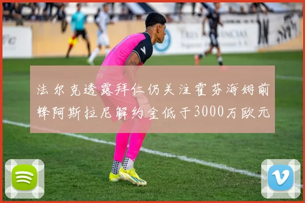 法尔克透露拜仁仍关注霍芬海姆前锋阿斯拉尼解约金低于3000万欧元
